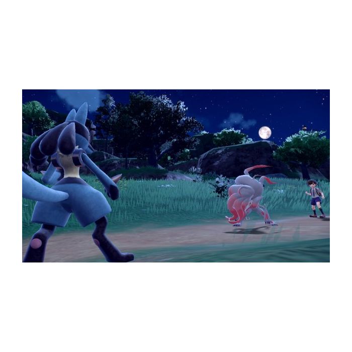 Pokemon Scarlet SW