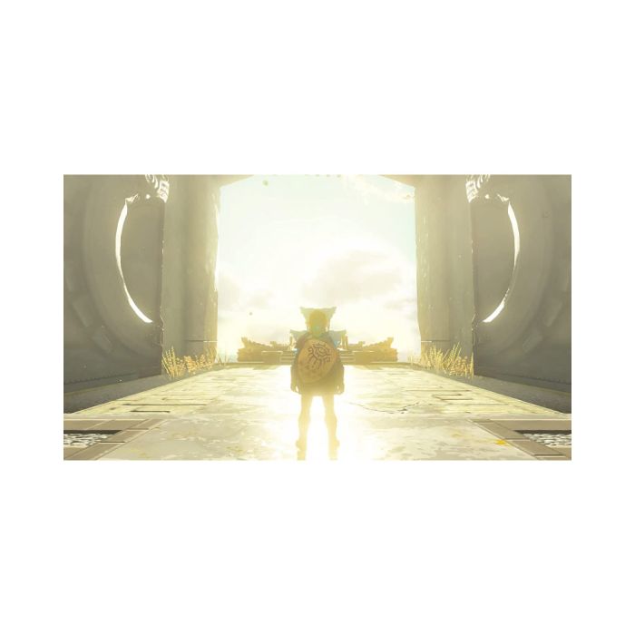 The Legend of Zelda: Tears of the Kingdom SW