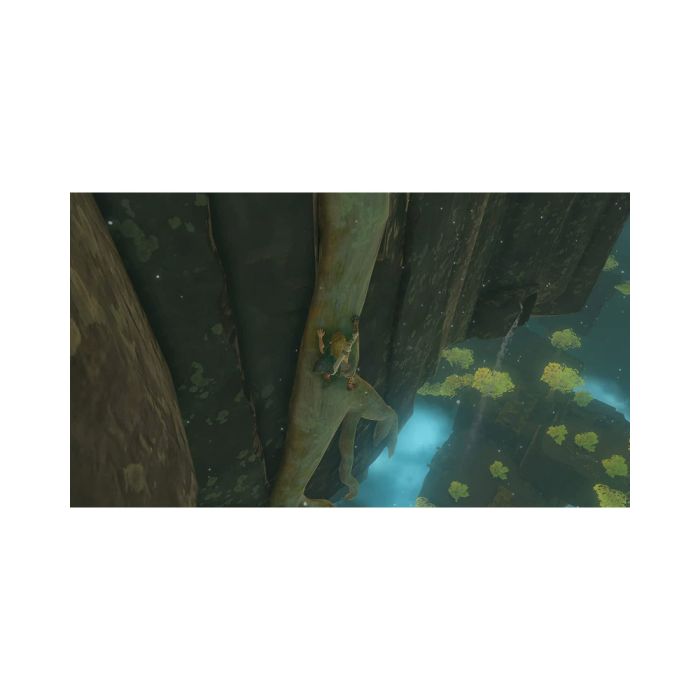 The Legend of Zelda: Tears of the Kingdom SW