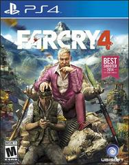Far Cry 4 PS4 (Used USA)