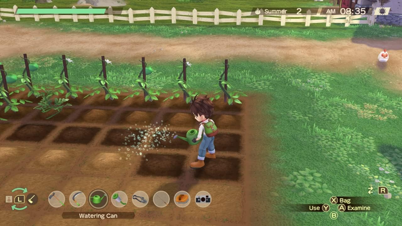 Story of Seasons: A Wonderful Life SW