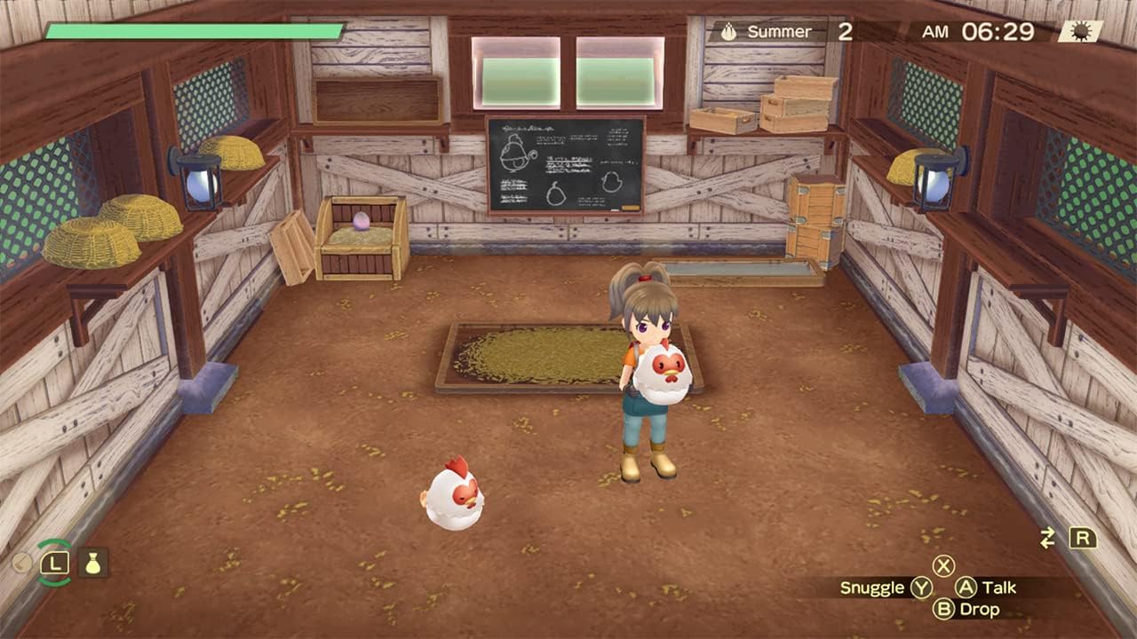 Story of Seasons: A Wonderful Life SW
