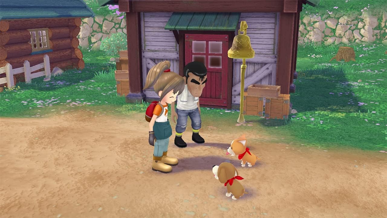Story of Seasons: A Wonderful Life SW