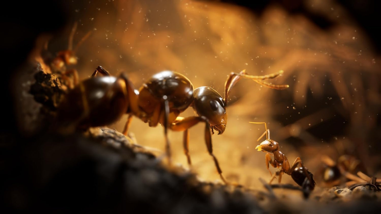 Empire of the Ants Limited Edition PS5