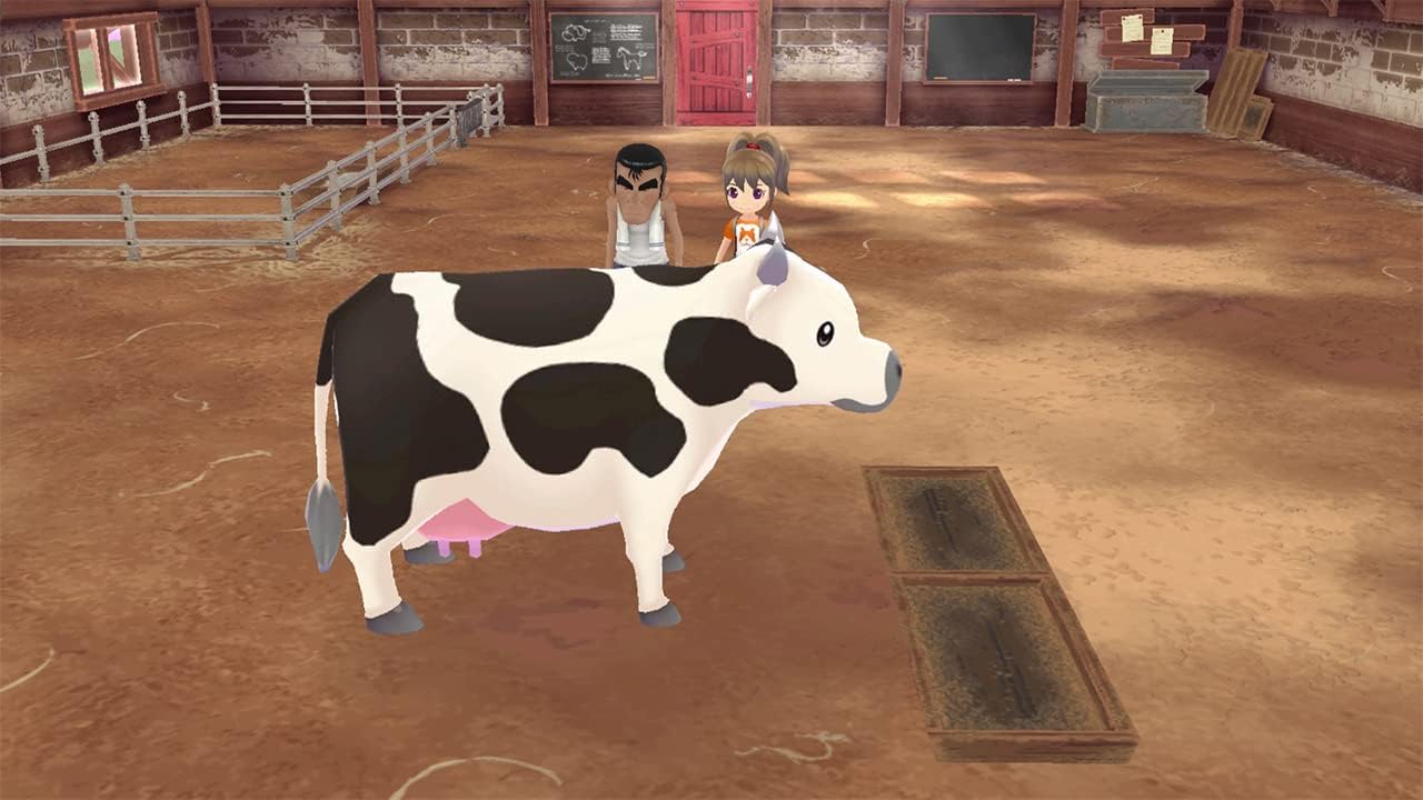 Story of Seasons: A Wonderful Life SW