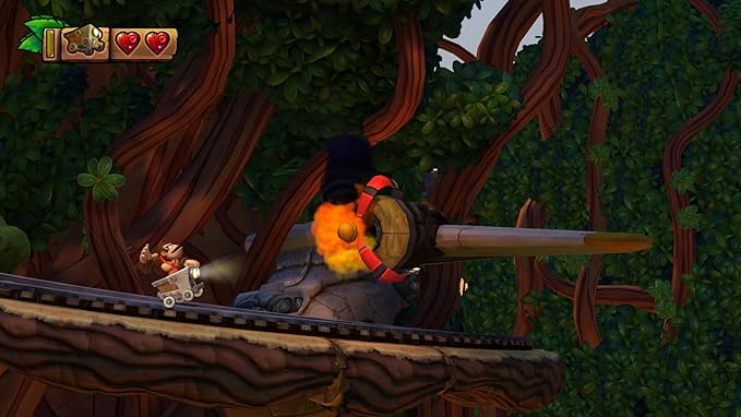 Donkey Kong Country Tropical Freeze  SW