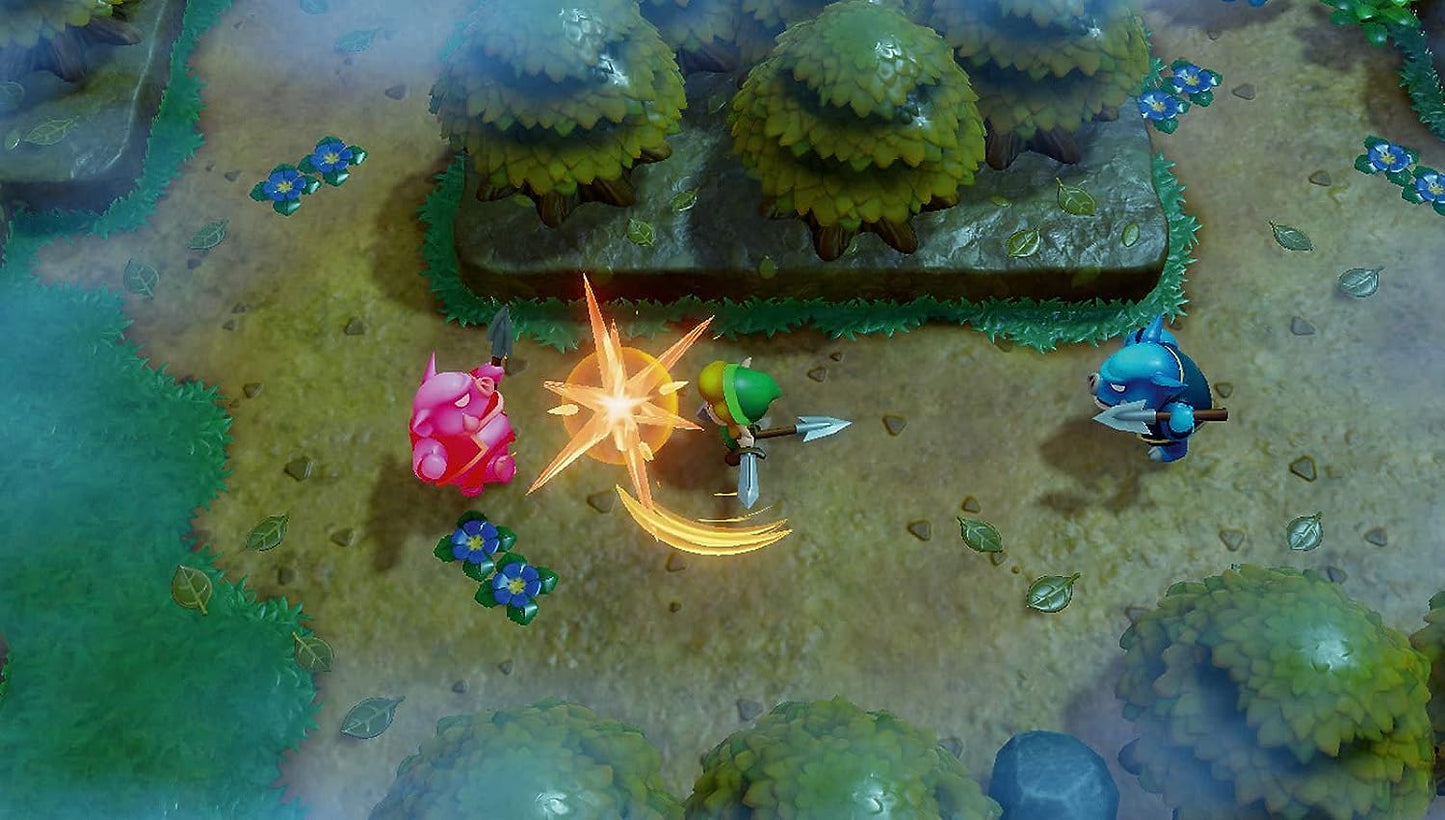 The Legend of Zelda: Link’s Awakening SW