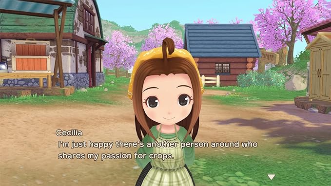 Story of Seasons: A Wonderful Life SW