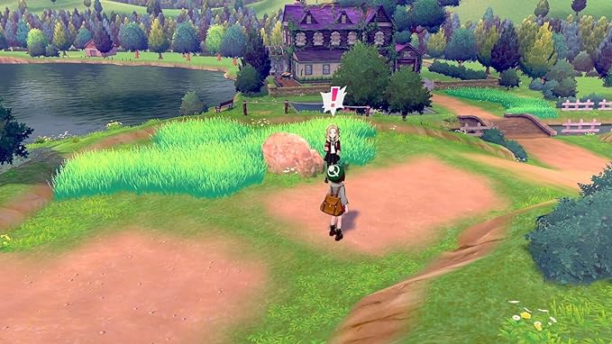 Pokemon Shield SW