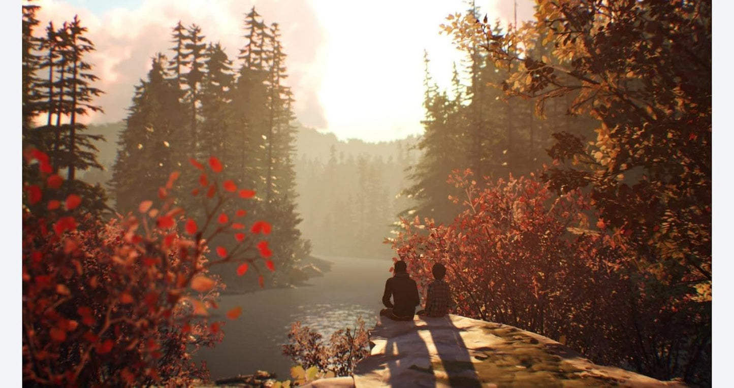 Life Is Strange 2 PS4