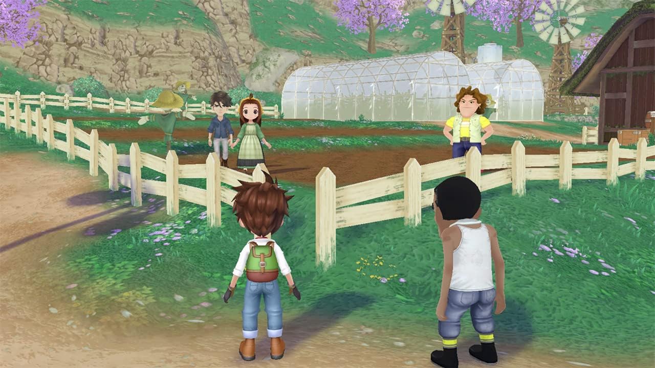 Story of Seasons: A Wonderful Life SW