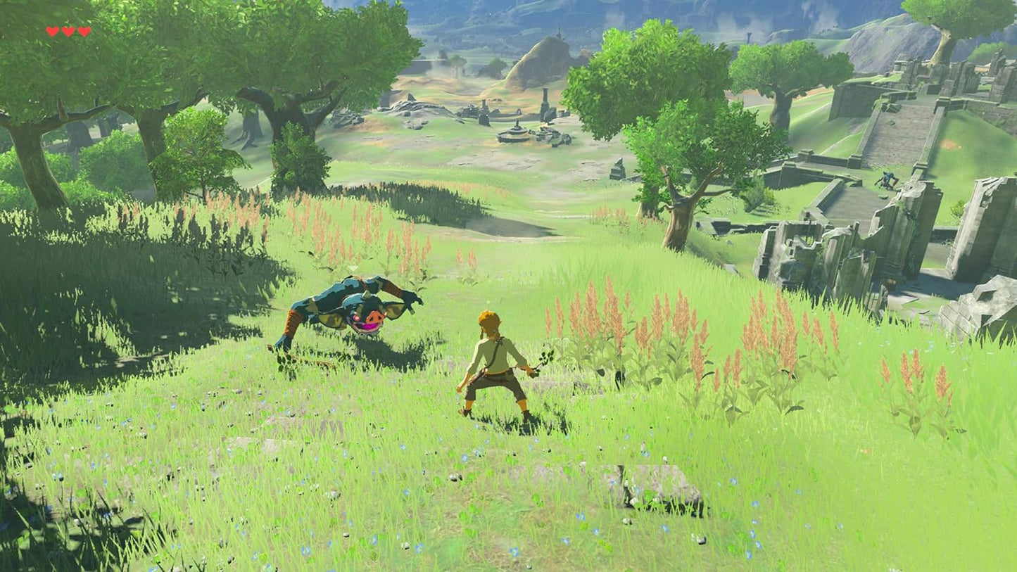 The Legend Of Zelda Breath Of The Wild SW
