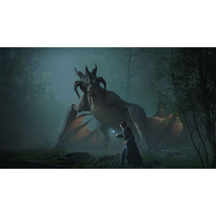 Hogwarts Legacy  SW
